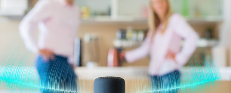 Enceinte connectée et assistant vocal - Boitmobile, créateur de web à Amiens